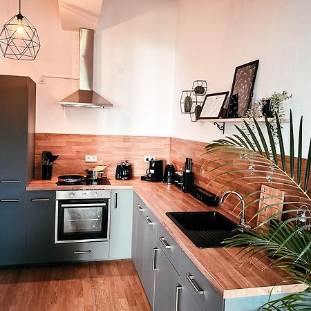 Oasis Appart - Wohnen Im Koenigspark - Elbhang Dresden - Grosse Terrasse - Netflix - Tg Exteriör bild
