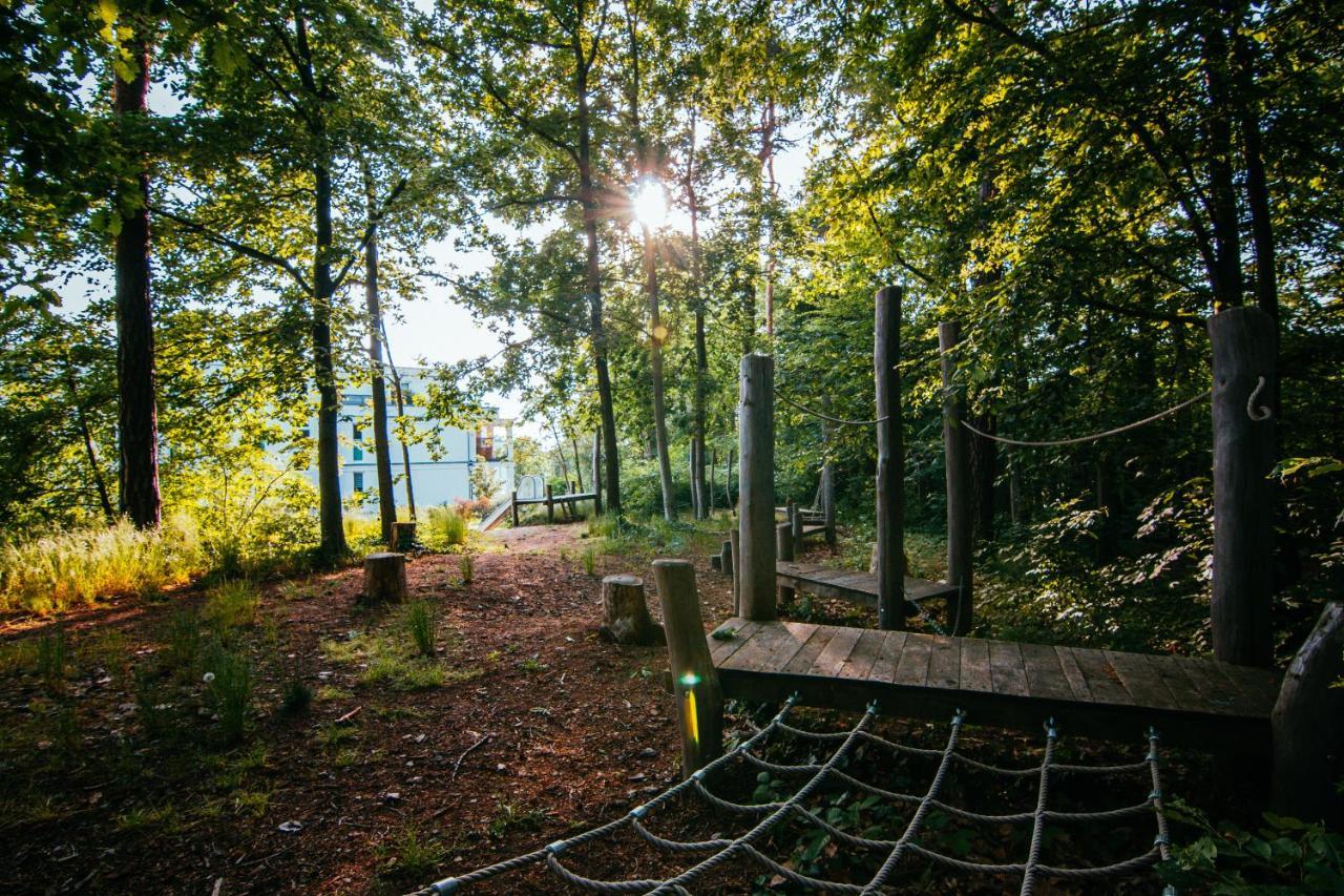 Oasis Appart - Wohnen Im Koenigspark - Elbhang Dresden - Grosse Terrasse - Netflix - Tg Exteriör bild