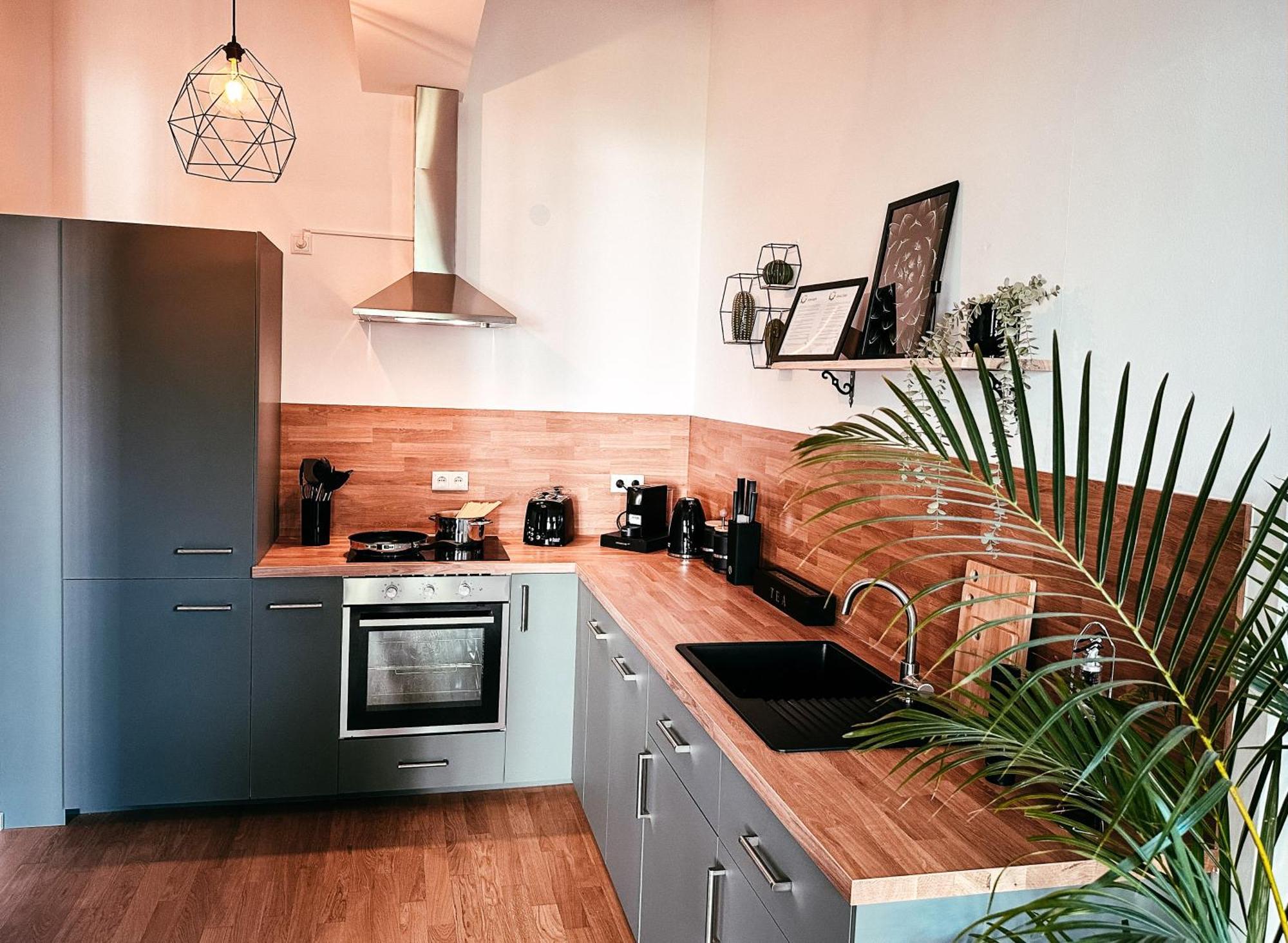 Oasis Appart - Wohnen Im Koenigspark - Elbhang Dresden - Grosse Terrasse - Netflix - Tg Exteriör bild