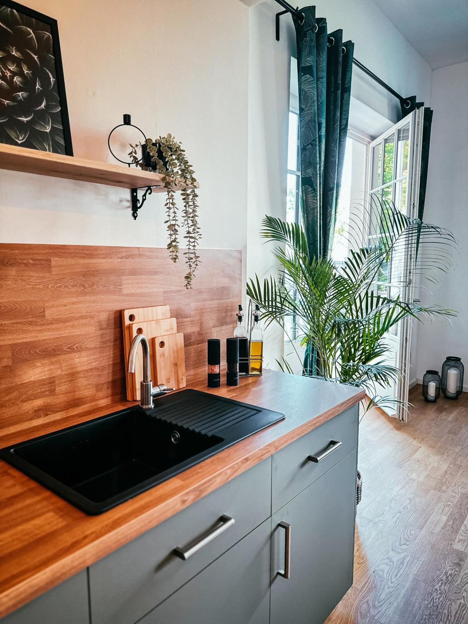 Oasis Appart - Wohnen Im Koenigspark - Elbhang Dresden - Grosse Terrasse - Netflix - Tg Exteriör bild